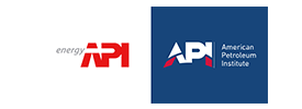 API Logo